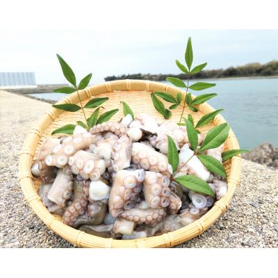 ふるさと納税 豊後高田市 修福丸ん　岬たこ　生たこぶつ切り食べきりサイズ(200g×5袋)