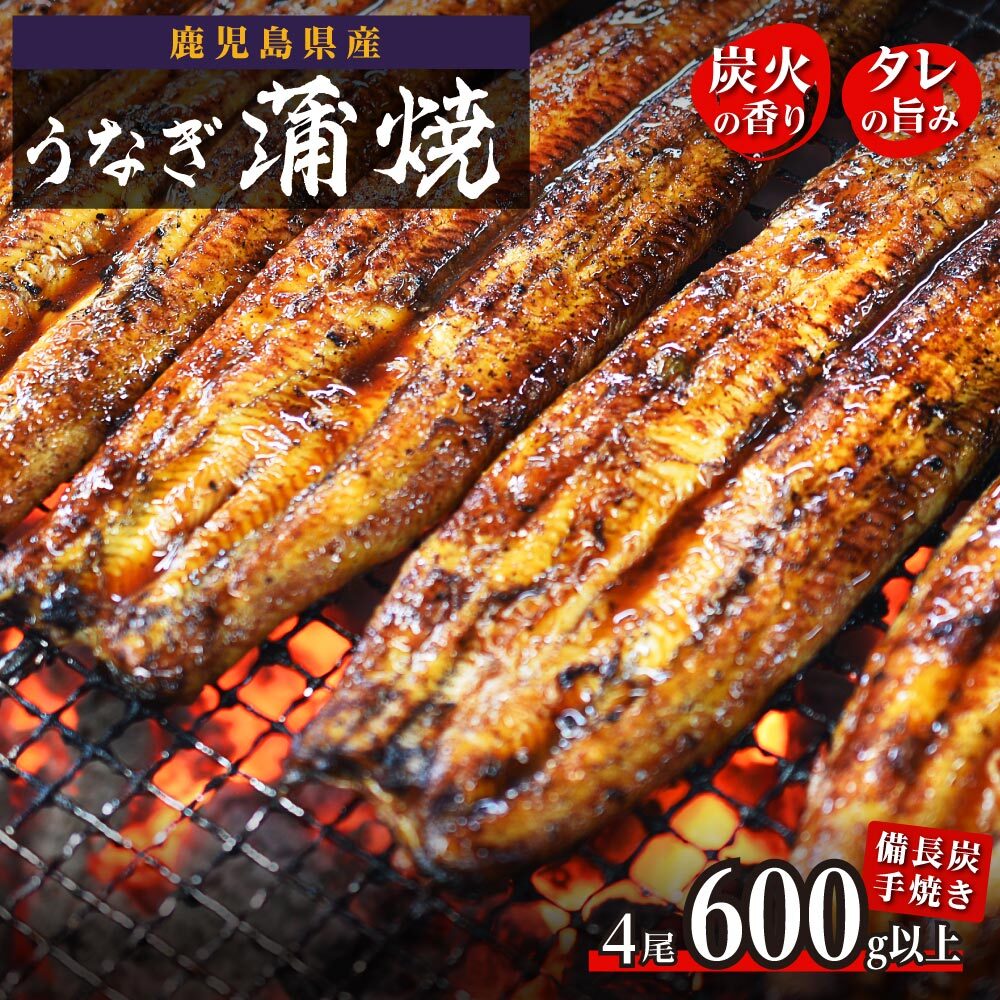 【ふるさと納税】 鹿児島県大隅産 うなぎ 長蒲焼 4尾 600g 以上 | ふるさと納税 うなぎ 高級 ウナギ 鰻 国産 蒲焼 蒲焼き たれ 九州地焼き 地焼き 備長炭焼 鹿児島 大隅 大崎町 ふるさと 人気 送料無料