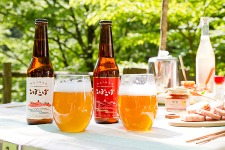 ビール 郡上八幡地ビールこぼこぼ 6本セット