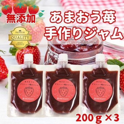 
            いちごジャム 無添加あまおうとグラニュー糖のジャム200g×3袋 手作り国産チューブパウチ(福岡県)【1660448】
          