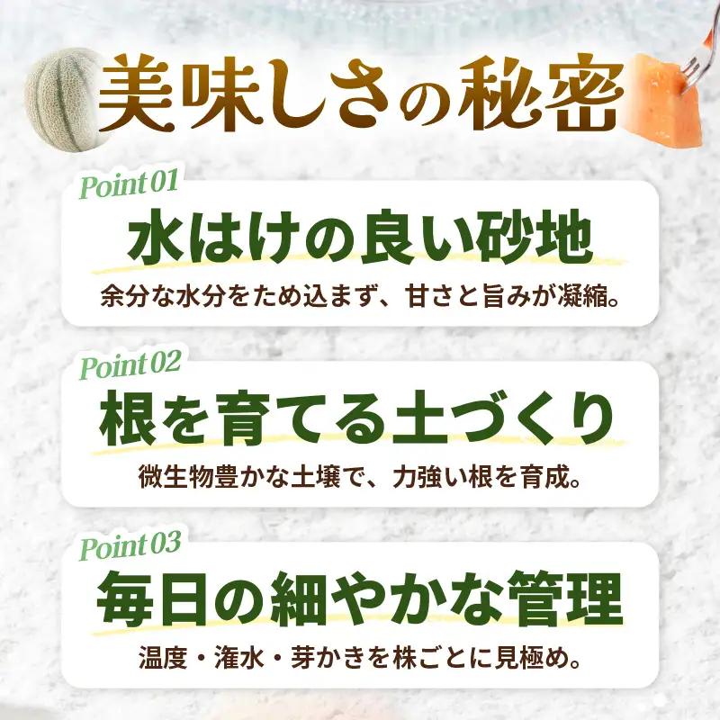 先行予約  マルセイユメロン (赤肉) 1玉 糖度15度以上 2027年6月上旬以降順次発送予定 [A-22105]