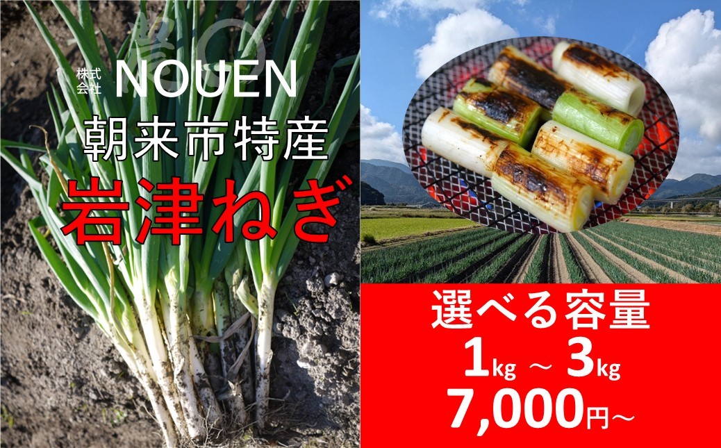 
            【 選べる容量 1kg～3kg (MLサイズ混載) 】朝来市特産 岩津ねぎ 希少 栄養豊富 期間限定 甘い 太い 柔らかい すき焼き 焼きねぎ 天ぷら 鍋 NOUEN 出荷期間12月上旬から2月上旬 兵庫県 朝来市 「岩津ねぎを核とした資源循環型農業システム」が日本農業遺産に認定
          