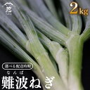 【ふるさと納税】 先行予約 難波葱 2kg 年内配送 ねぎ 葱 鍋 青ねぎ 白ねぎ 野菜 旬 やさい 産地直送 採れたて 直送 フルーツ 果物 と同糖度 なにわ 伝統野菜 鍋セット 河内 大阪府 松原市