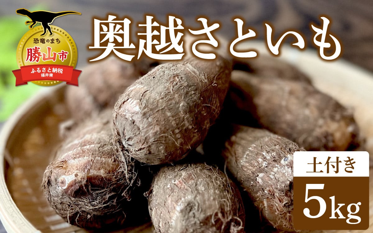 
            【先行予約】【勝山市産】田中さんちの奥越さといも 5kg ※2025年11月上旬より順次発送 [A-080008]
          