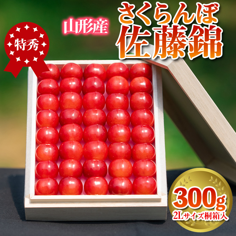 さくらんぼ 「佐藤錦」 300g 特秀品 2Lサイズ 桐箱入 山形産【令和8年産先行予約】  FS24-033