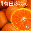 【ふるさと納税】和歌山有田産カラマンダリン【訳あり家庭用】5kg【ミカン 蜜柑 春みかん 柑橘】