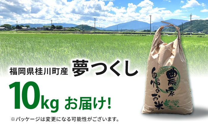 令和6年度産 福岡県桂川町産夢つくし　白米