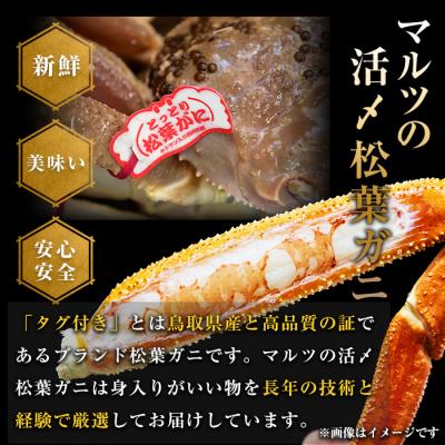 ふるさと納税 境港市 活〆ボイル松葉蟹(900g)PREMIUMタグ付【11月中旬から順次発送】 |  | 02