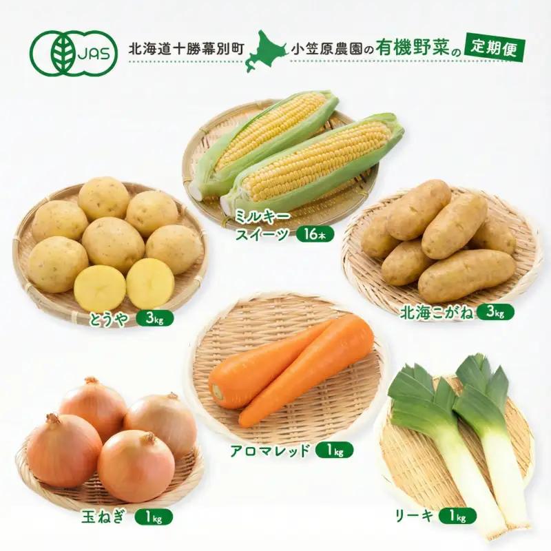 定期便 夏秋2回 とうもろこし16本・じゃがいも2種×3kg・玉ねぎ1kg・リーキ1kg 有機野菜
