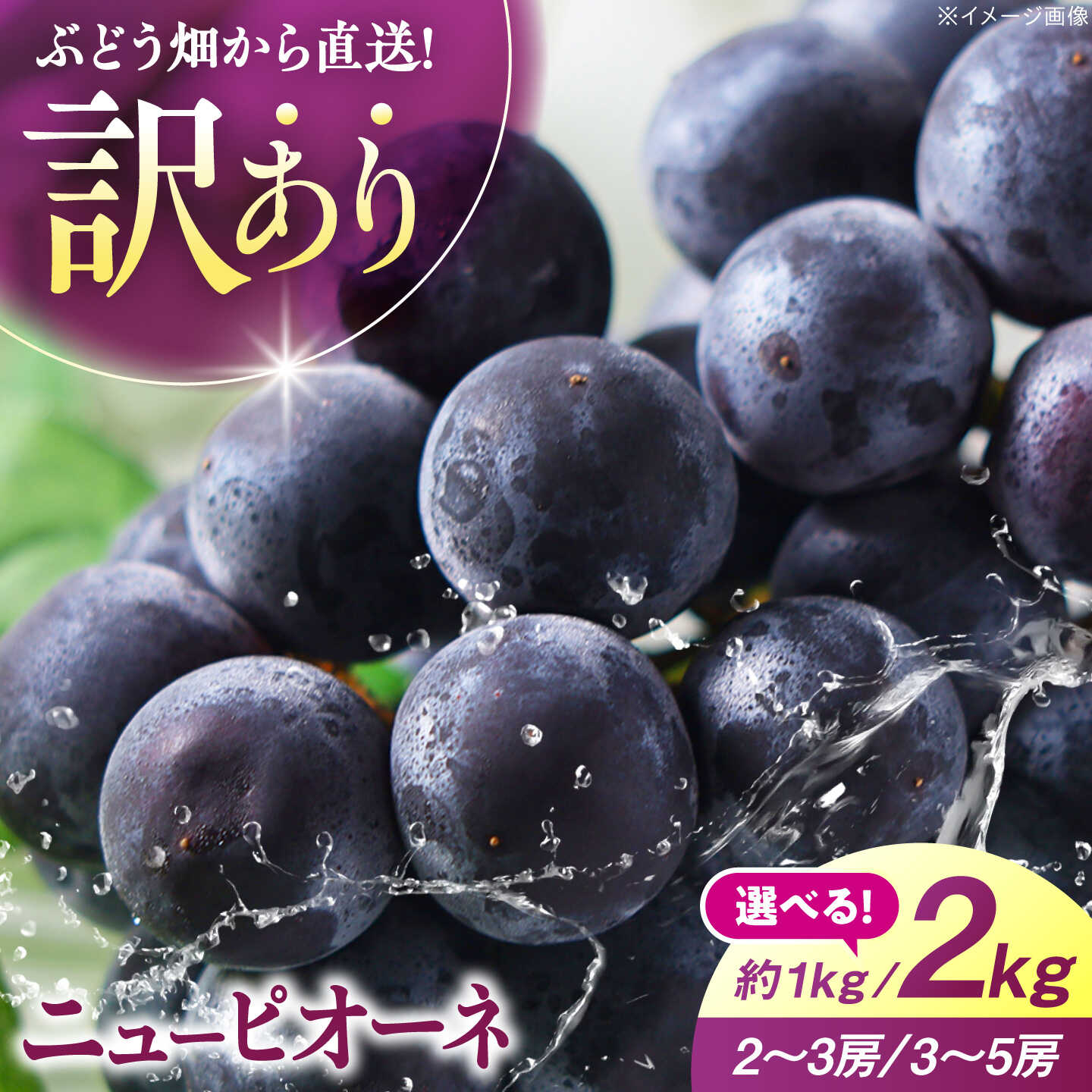 【ふるさと納税】【訳あり】 ニューピオーネ（選べる容量 約1kg or 約2kg）＜8月上旬から順次発送＞ 冷蔵 ハウス栽培 ぶどう 果物 ピオーネ フルーツ 葡萄 ブドウ 広島 みよし 三次市 / 西田ぶどう園[APCM020]