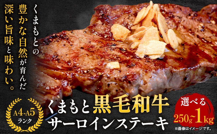 【A4～A5】くまもと黒毛和牛 サーロインステーキ 選べる 250g 500g 1kg 《30日以内に出荷予定(土日祝除く)》 牛肉 くまもと黒毛和牛 黒毛和牛 冷凍庫 サーロイン ステーキ Esprit---so_fespsa_30d_r7_13500_250g---