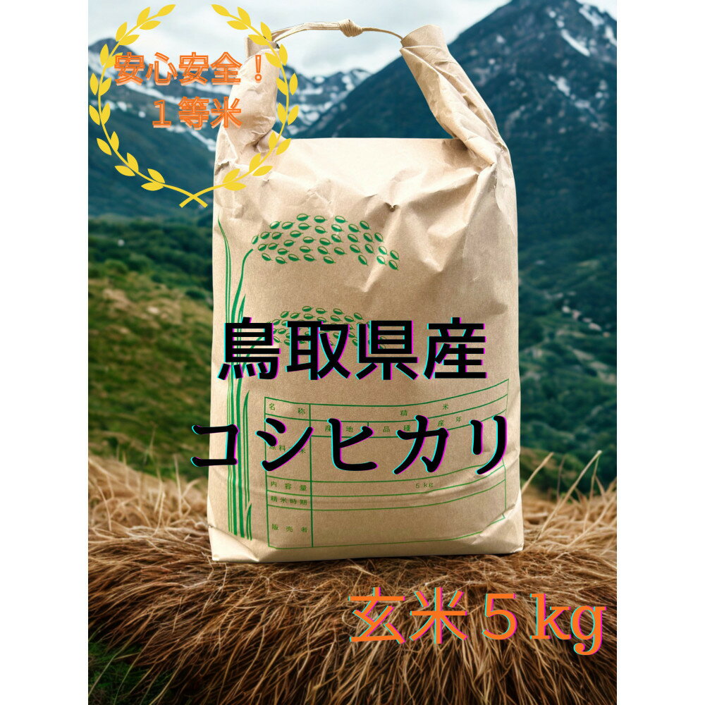 【ふるさと納税】【玄米】令和7年産 コシヒカリ5kg
