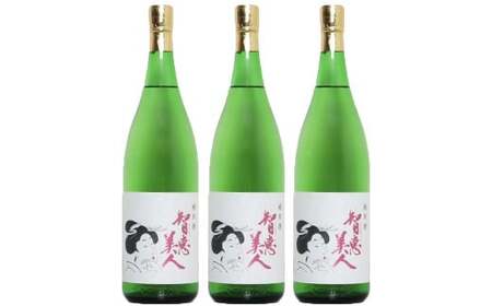 中野酒造 清酒 智恵美人 純米酒 1800ml 3本 セット【神田楽市】 九州 大分県 受賞 日本酒 純米酒 一升 ＜105-029＞