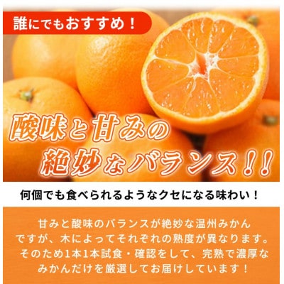 【2025年11月下旬より発送】有田の小粒みかん5kg　(S～3Sサイズ混合)
