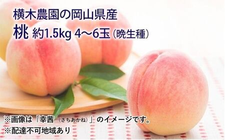 桃 2026年 先行予約 岡山の桃（晩生種）約1.5kg 4～6玉 もも モモ 岡山県産 国産 フルーツ 果物 ギフト 横木農園 スイーツ 