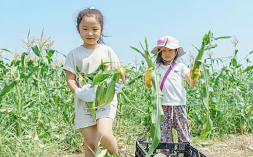 三浦半島 の 野菜 収穫体験【株式会社シテコベ】 [AKDQ001]