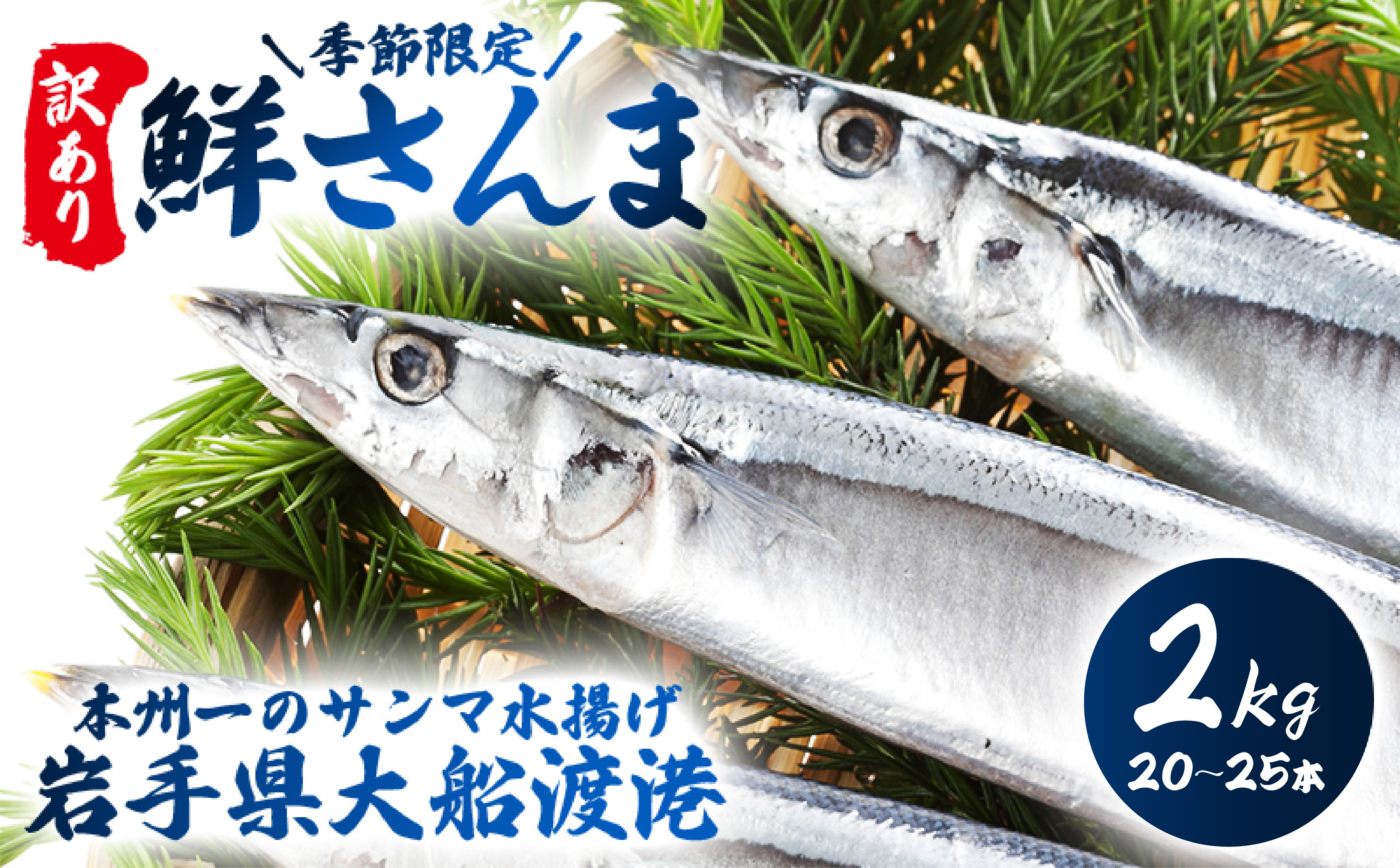 
                  【 2026 先行予約 】訳あり 鮮さんま 2kg 20~25本 大船渡産 岩手 さかな おさかな 魚 鮮魚 新鮮 生魚 焼き魚 FISH ごはん 夕飯 おかず おつまみ 晩酌 米 丼 海産物 海鮮 魚介 魚介類 大船渡 三陸 岩手県 国産 ごはん 夕飯 おかず 米 丼 三陸 10000円 1万円
                