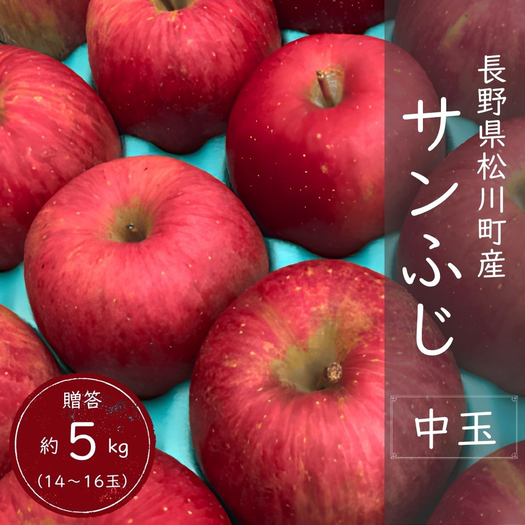 KR15 サンふじ 贈答 中玉 約5kg（14～16玉） 長野県松川町産／11月下旬頃～配送予定//長野県 南信州 リンゴ 林檎 ギフト ふじ さんふじ 農家直送 農家支援 産地直送