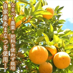 手づくりジャムソース 4本セット 手作りみかん キウイ あまなつ ブルーベリー 125ml 詰め合わせ ギフト 【 家庭用 自宅用 贈答品 贈答用 ギフト お取り寄せ お中元 お歳暮 贈り物 お祝い 
