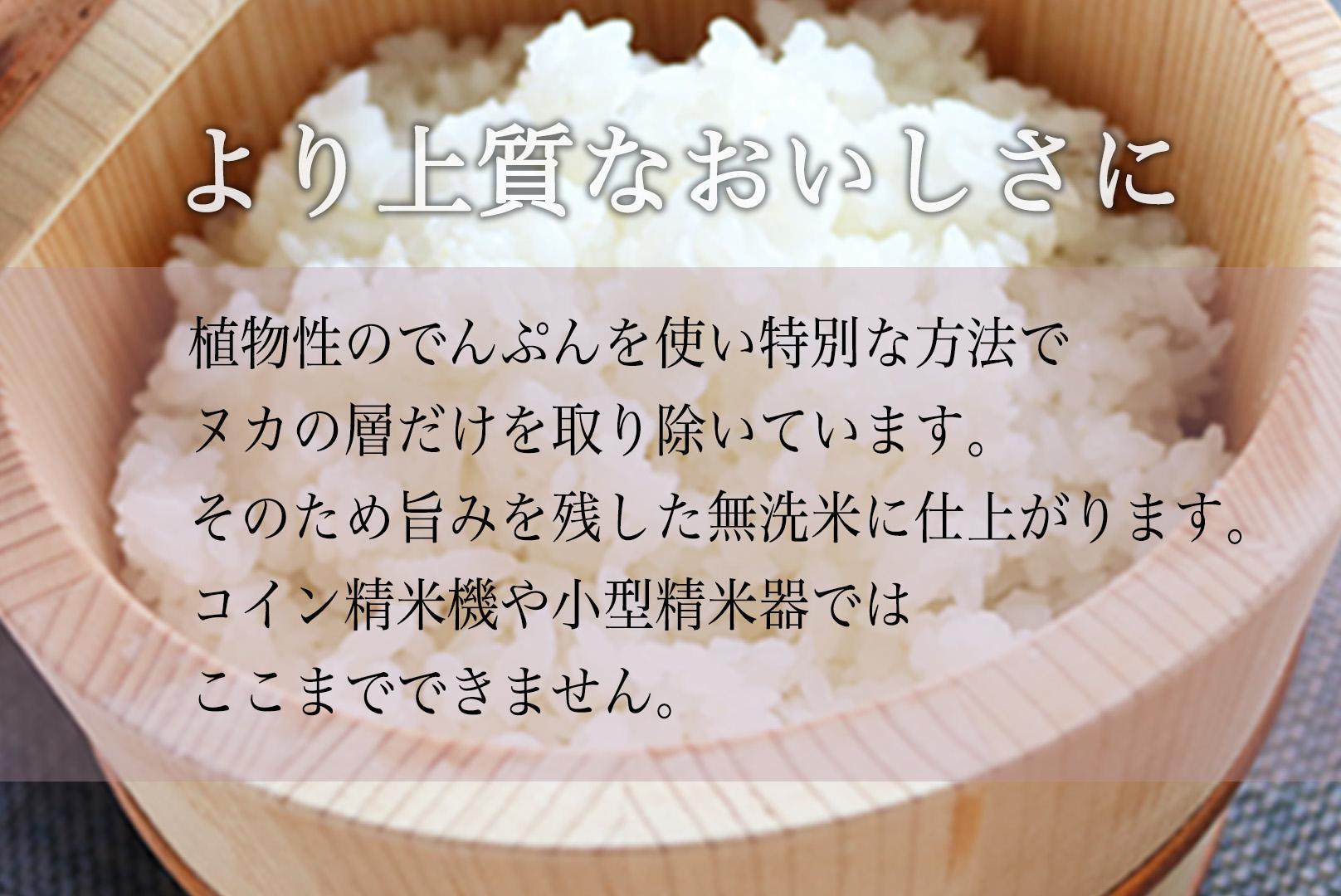 【定期便】令和7年産 南魚沼産コシヒカリ《吟精無洗米》 5kg×4袋 3ヶ月連続