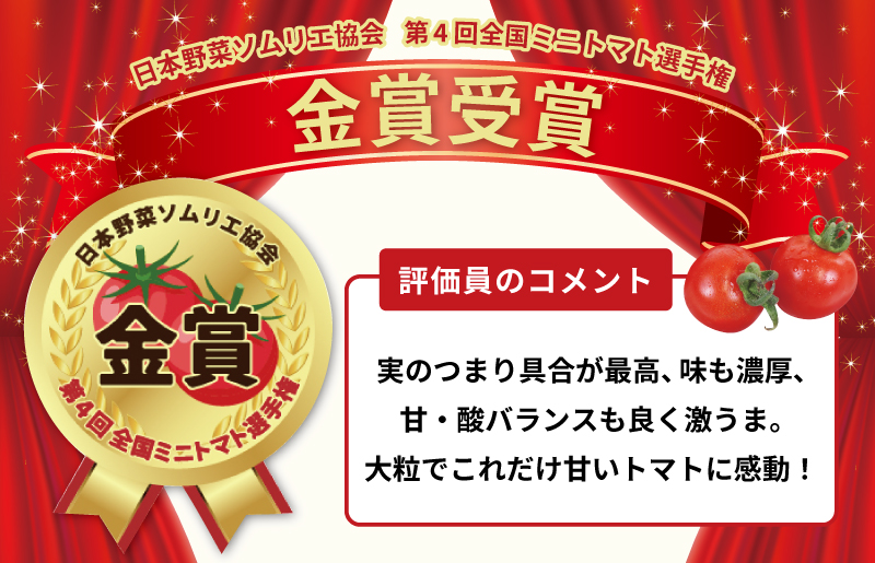 【先行予約】こだわり ミニトマト 4パック 合計 約1kg【選手権 金賞受賞 日本野菜ソムリエ協会 新鮮 野菜 泉佐野産 とまと やさい 高評価 数量限定】 G3702