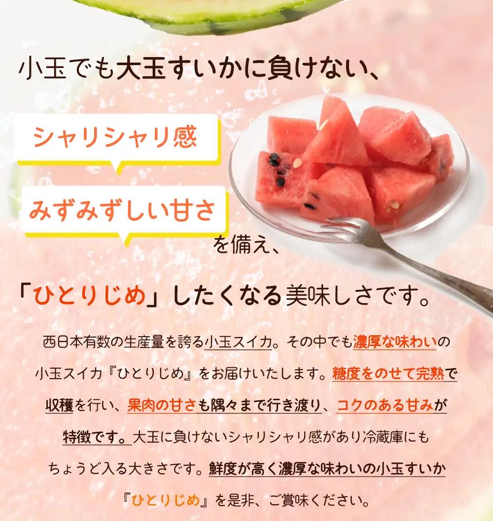 すいか 和歌山の小玉すいか「ひとりじめ」約1.8kg 1玉 ※2027年5月下旬頃〜6月下旬頃に順次発送予定【uot778A】