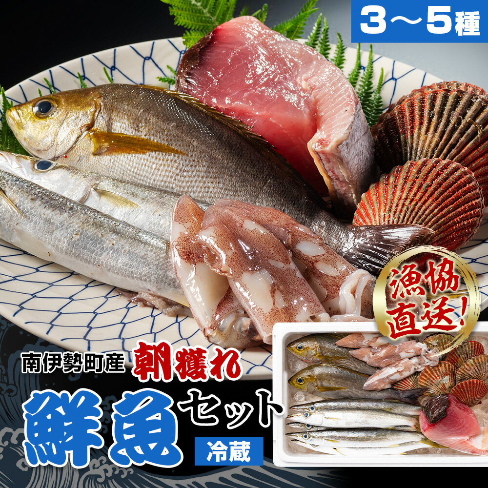 【ふるさと納税】 鮮魚 セット 3～5種 おまかせ カツオ ブリ まぐろ アジ サバ イワシ タイ 貝類 ひもの お刺身用柵 ブロック 刺身 お刺身 刺し身 お刺し身 海鮮 海の幸 魚 魚介 朝どれ 新鮮 詰合せ おいしい とれたて 旬 三重外湾漁業組合 三重県 伊勢志摩