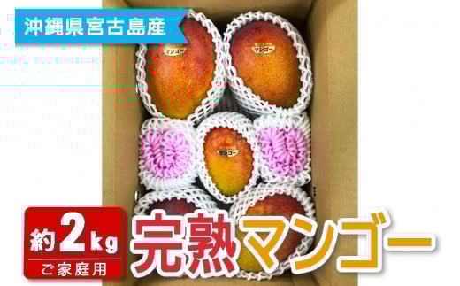 FQ012　【宮古島産マンゴー】ご家庭用 2kg（4-6玉）マンゴーファーム宮古島