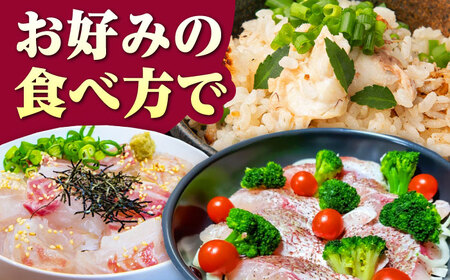 天然 桜鯛 フィーレ 500g 程度《対馬市》【対馬新鮮組】 下処理済 鯛 真鯛 サクラダイ 新鮮 お祝い 冷凍配送 産地直送[WCS013]