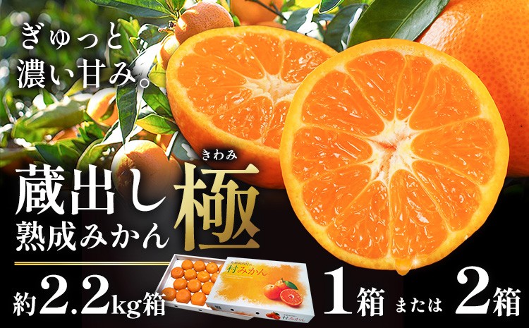 
            ＜先行予約＞ 蔵出し熟成みかん『極』 1箱 or 2箱 《2月中旬-2月末頃出荷予定》みかん ミカン 蜜柑 mikan 貯蔵 柑橘 佐那河内 さなごうち 徳島県 箱入り 化粧箱 S M L フルーツ 果物 くだもの 贈答 進物 
          