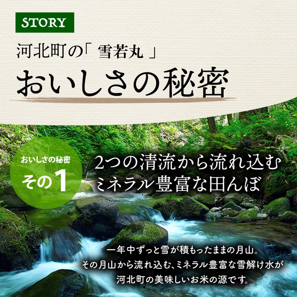 【令和6年産米】2024年12月下旬発送 雪若丸 10kg（5kg×2袋）山形県産 【米COMEかほく協同組合】