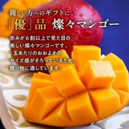 【2026年7月から順次発送・優品】燦々マンゴー1.0kg(2～3玉)_マンゴー_【1619776】