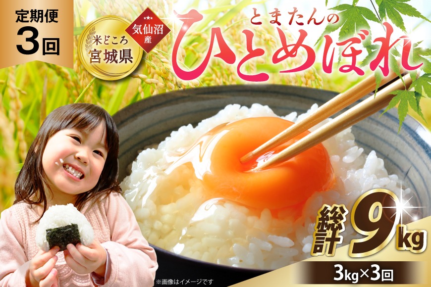 【新米 令和8年産 先行予約】 3回 定期便 米 宮城県産 とまたんのひとめぼれ 3kg 総計9kg [サンフレッシュ小泉農園 宮城県 気仙沼市 20566082] ひとめぼれ ブランド米 白米 精米 ご飯 ごはん コメ こめ お米 小分け 家庭用