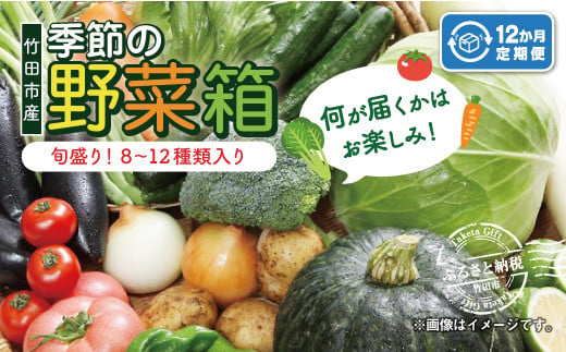 竹田市産！季節の『野菜箱』12ヶ月 定期便 【1箱あたり:8~12種】