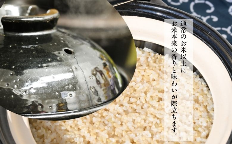 北海道奈井江産ゆめぴりか『奏穂（かなでほ）』　玄米＆白米　おためしセット　計600g　栽培期間中農薬不使用米（化学肥料5割減）