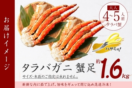 1735. ボイルタラバガニ足 800g×2 1.6kg 食べ方ガイド・専用ハサミ付 カニ かに 蟹 たらば タラバ タラバガニ 海鮮 送料無料  北海道 弟子屈町