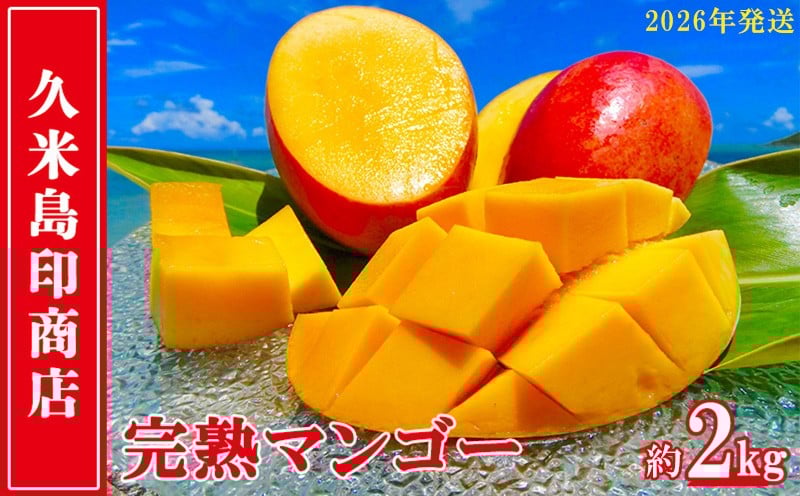 
            【2026年発送】久米島印商店 完熟マンゴー 約2kg マンゴー フルーツ 果物 デザート 完熟 甘い 濃厚 スムージー アイス プリン ヨーグルト ケーキ 贈り物 贈答 ギフト 人気 リピーター 南国 沖縄 久米島
          