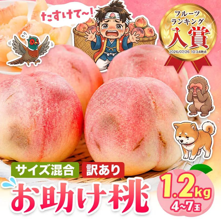 ＼2026年発送／ 桃 訳あり お助け桃 約1.2kg