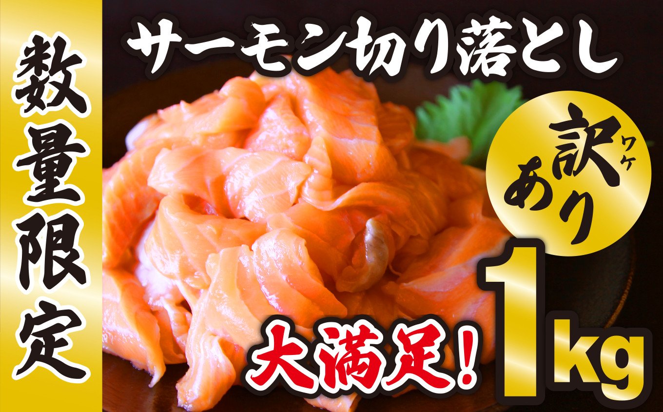 
            訳あり 生食用 サーモン 切り落とし 大満足 1kg 500g×2 パック 50セット 小分け 鮭 サーモン アトランティックサーモン さけ シャケ しゃけ sake カルパッチョ ソテー レアステーキ 人気 高級 大満足 美味しい 贈答 生食用 刺身 お刺身 刺し身 魚介類 海鮮 冷凍 厚切り 薄切り ふるさと納税 ふるさとチョイス 三重県 尾鷲市 OB-17
          