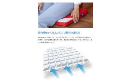 コンセプト懐『DotSheet』クッション レッド