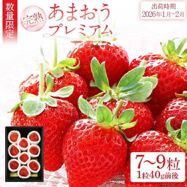 【ふるさと納税】あまおうプレミアム いちご 苺 イチゴ フルーツキャップ 梱包 ギフト 贈答用【2026年1月〜2月頃発送予定】 福岡県 大木町 池上農園 BD02