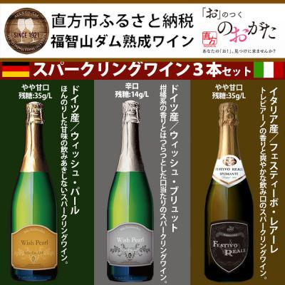 ふるさと納税 直方市 福智山ダム熟成スパークリングワイン3本詰め合わせセット　FD323