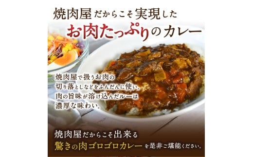 味園特選 牛すじカレー200g×3個 国産黒毛和牛 / 焼肉ホルモン味園 カレー 奈良県 葛城市【ajen002】_イメージ2