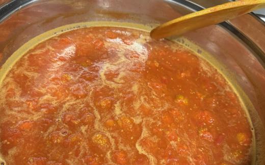 安田町 トマトソース 2袋 詰め合わせ トマトソース トマト ソース 2袋 詰合せ セット 詰め合わせ 野菜 冷凍 スープ パスタ ミートソース スパゲティ ハンバーグ 簡単 便利 時短 お手軽 濃厚