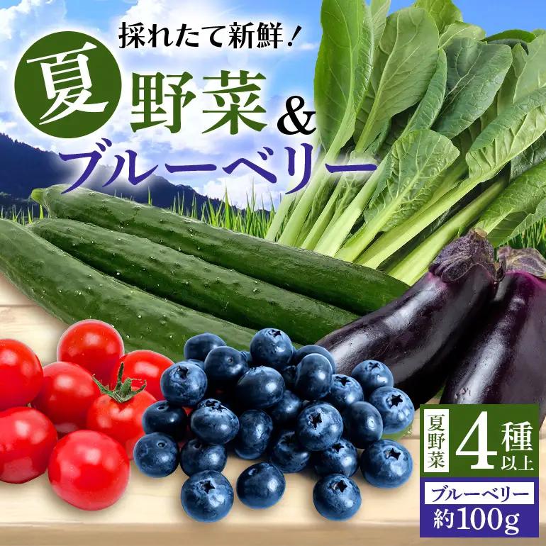 【数量限定・先行予約】小美玉産ブルーベリー＆野菜4種類以上セット(夏) ブルーベリー 夏野菜 茨城県 小美玉市 93-F