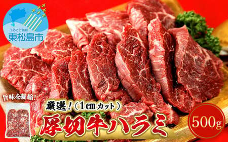 厳選 牛ハラミ 厚切り 500g 味付 急速 冷凍 1cmカット 牛肉 焼肉 バーベキュー ＢＢＱ 宮城県 東松島市 オンラインワンストップ 対応 自治体マイページ 佐利