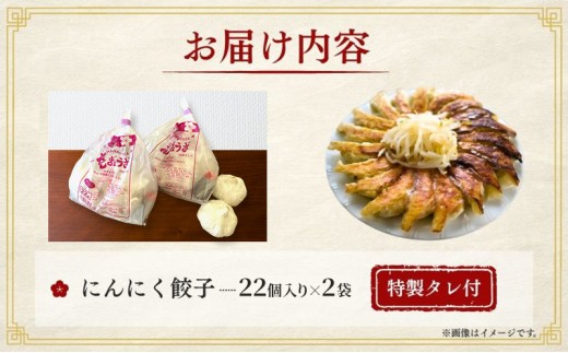 にんにく餃子44個(22個×2袋)6か月連続お届け 餃子 冷凍餃子 冷凍ギョーザ 手作り餃子 ギョーザ 点心 中華 中華料理 惣菜 簡単調理 加工食品 静岡県 森町