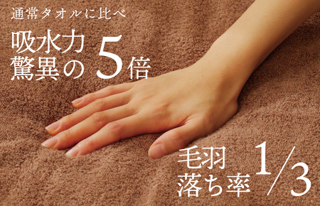 世界最高峰のタオルケット nei ラージサイズ（ブラウン） ／ 人気の日用品 タオル 泉州タオル 国産タオル 泉州タオル 泉佐野タオル 日本タオル 吸水タオル 綿100％タオル 普段使いタオル シンプ