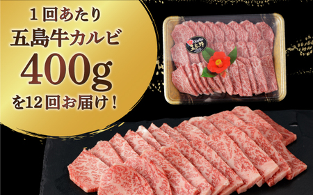 【全12回定期便】【幻の和牛！とろける肉汁がたまらない…！】五島牛 特選 カルビ 400g 焼肉 牛肉 牛 肉 お肉 国産 和牛 赤身【カミティバリュー】[RBP040]