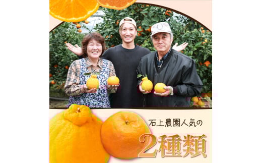 AF-A2 【先行予約】串間市都井「石上農園」の不知火・ポンカンセット（不知火2Lサイズ・3個、ポンカンMサイズ・30玉～35玉）【石上農園】